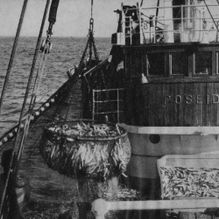 Hans O. Vindenes rederi kjøpte i 1964 den første Triplex notvinsj til Poseidon